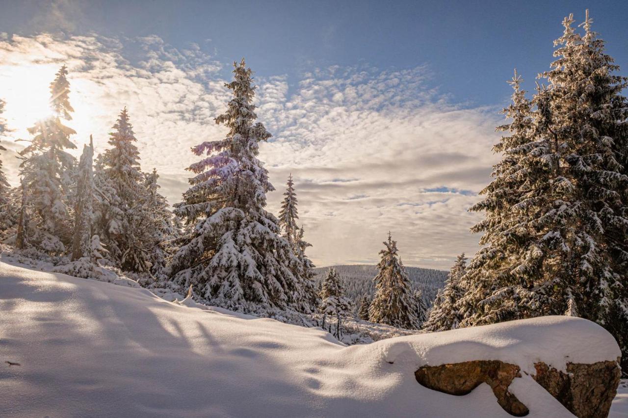 Gorskie Chatki Krysi I Piotrka Perlowy Stronie Śląskie Exteriér fotografie